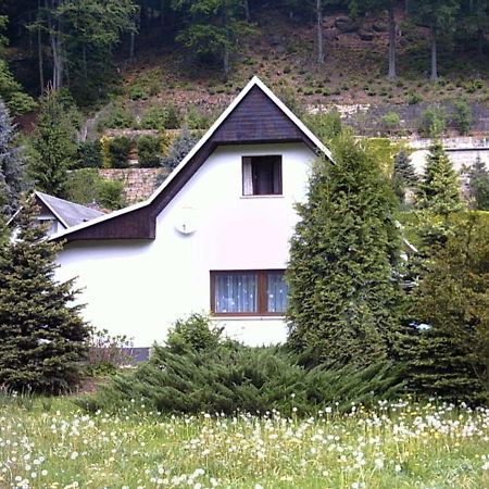 Ferienhaus Greti Stadt Wehlen Exterior photo